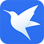 custom_website